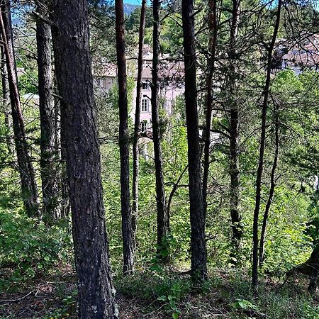 Auberge Du Bourguet Brenon Dış mekan fotoğraf